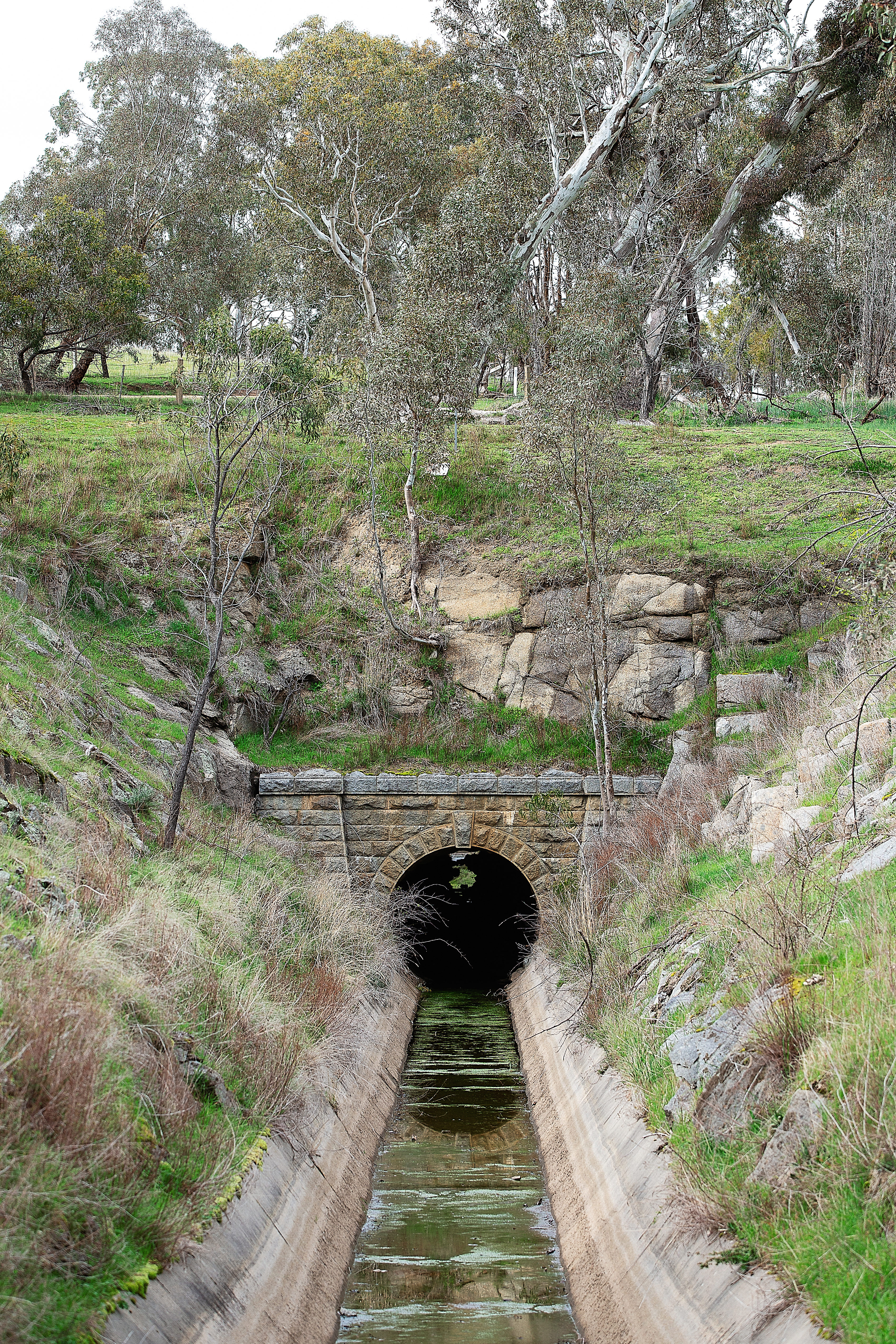 coliban main channel