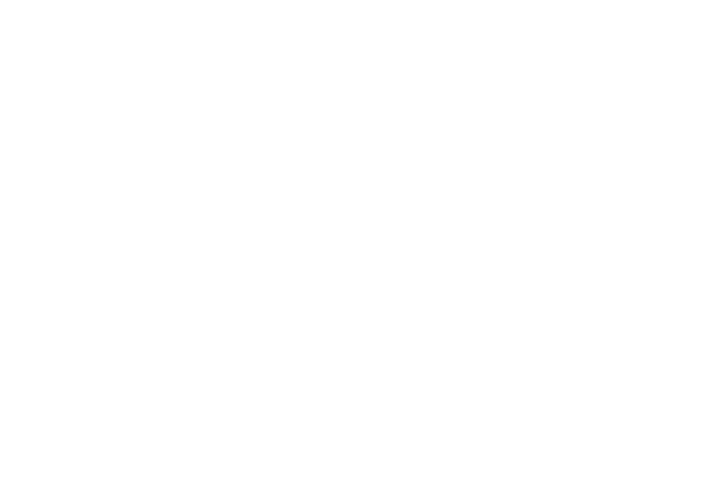 Dumawul logo