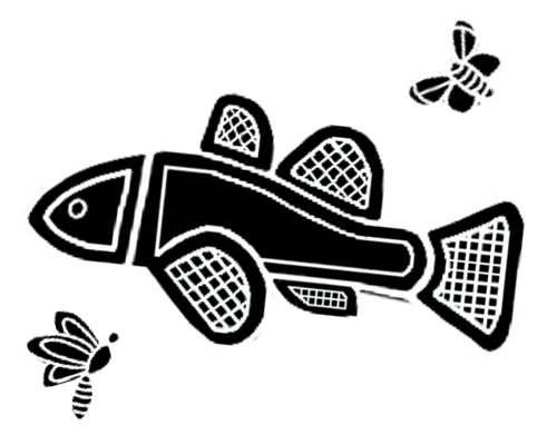 An illustration of a fish